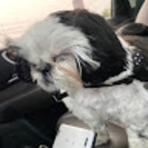 Meet your Posher, Lia